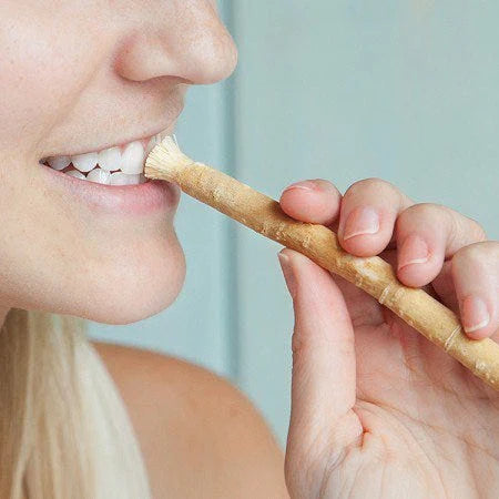 Ancient Miswak Toothbrush (5 pcs)
