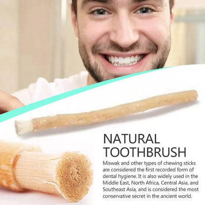 Ancient Miswak Toothbrush (5 pcs)